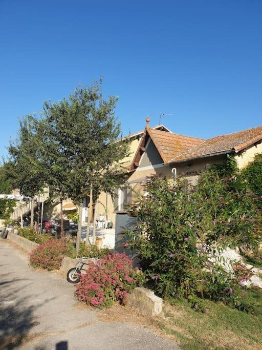 St Remy De Provence, La Maison Du Berger Saint-Andiol Exterior foto